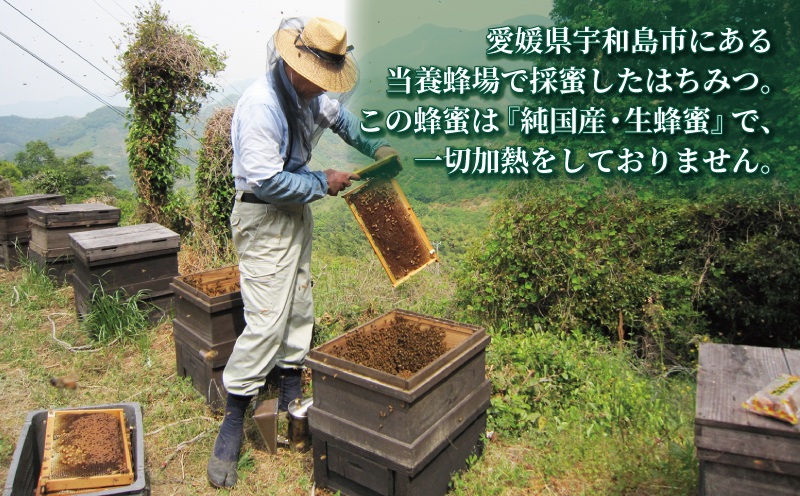 百花蜜 500g ギフト箱入 元気や はちみつ 国産はちみつ 百花蜂蜜 純粋はちみつ 生はちみつ  蜂蜜 ギフト プレゼント  数量限定 産地直送 国産 愛媛 宇和島 F014-176004
