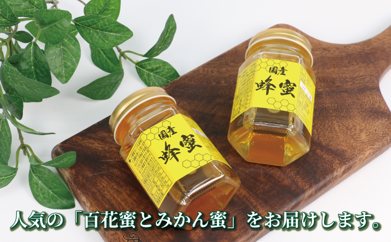 訳あり 蜂蜜 2種 味比べセット 百花蜜 みかん蜜 180g × 2 元気や はちみつ ハチミツ わけあり 訳アリ 非加熱 はちみつ 蜜柑 みかん蜜 みかん 国産はちみつ 純粋はちみつ 生はちみつ 生蜂蜜 蜂蜜 ハニー honey 数量限定 産地直送 国産 愛媛 宇和島 F014-176013