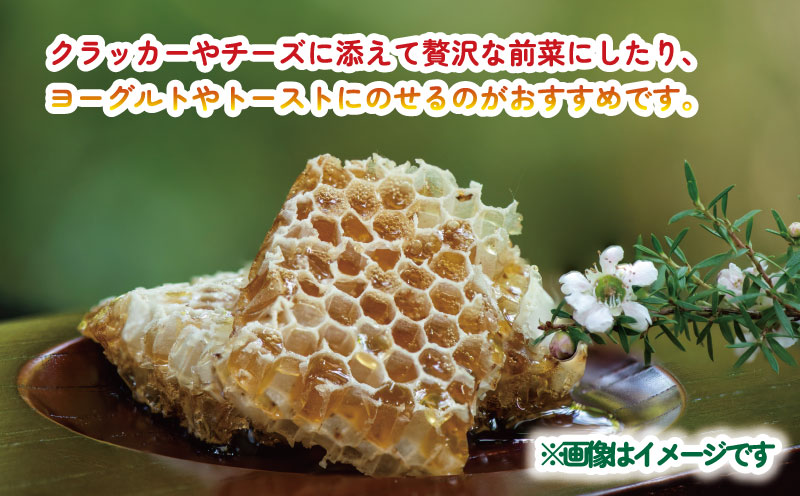 巣蜜 コムハニー 250g × 2個 セット 宇和島農産 ハチミツ 蜜 百花蜜 巣みつ 巣ミツ 人気ハチミツ 非加熱 はちみつ 蜂蜜 ハニー 百花蜂蜜 百花はちみつ 純粋はちみつ 生はちみつ 天然はちみつ 産地直送 愛媛 宇和島 F018-132012