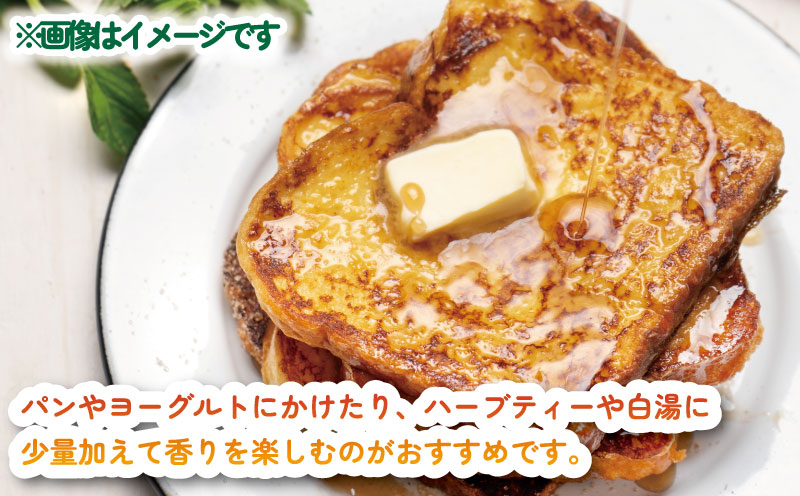 【国産はちみつ】 日本みつばち の 蜜 160g × 3個 セット 非加熱 宇和島農産 ハチミツ 国産蜂蜜 国産純粋はちみつ 蜂蜜 はちみつ ハニー honey 人気ハチミツ 日本蜜蜂 ニホンミツバチ 純粋はちみつ 生はちみつ 常温 保存 備蓄 防災食 非常食 保存食 産地直送 国産 愛媛 宇和島 F020-132011