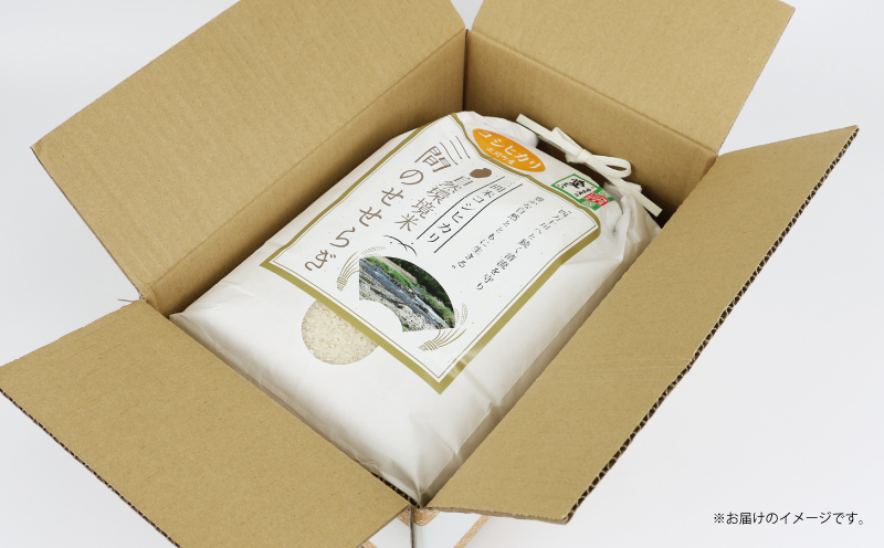 もち米 5kg 渡辺農園 先行予約 令和7年度産 三間町産 お米 おこめ 米 こめ kome ※ 餅 もち 餅米 もちごめ 赤飯 おこわ 団子 おはぎ アレンジ 美味しい もちもち 甘い 農家直送 産地直送 数量限定 国産 愛媛 宇和島 G010-117004