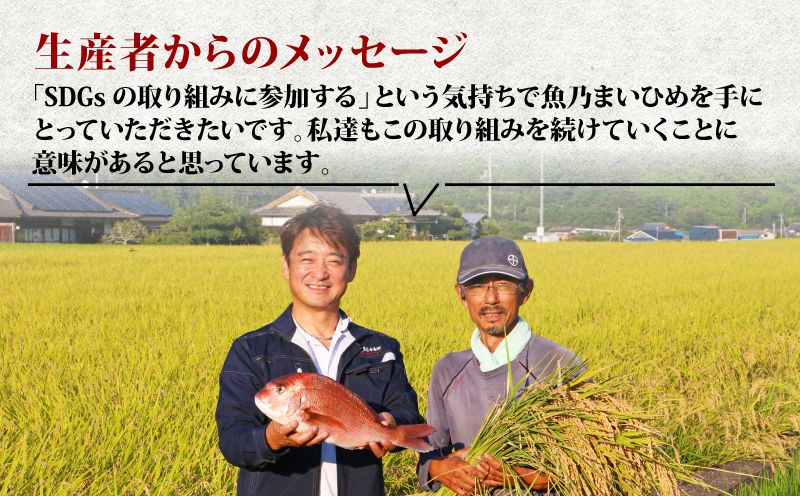 コシヒカリ 魚乃まいひめ カルペイン栽培 計 1升 2合 × 5袋 精米 秀長水産 お米 米 環境保全 カルペイン 鯛 真鯛 魚肥 使用 こめ コメ kome 小分け お弁当 弁当 おにぎり ふっくら ツヤツヤ 美味しい 甘い 備蓄 防災 産地直送 数量限定 国産 愛媛 宇和島 G015-016006