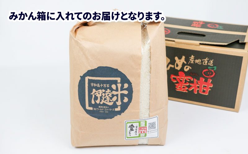 新米 特別栽培 コシヒカリ 5kg 令和7年度産 先行予約 伊達米 グローバルGAP取得 ワールドファーマーズ お米 米 ごはん ブランド米 特別栽培米 美味しい お弁当 弁当 おにぎり ふっくら ツヤツヤ 甘い 農家直送 産地直送 数量限定 国産 愛媛 宇和島 G015-024011