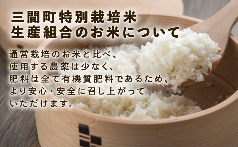 特別栽培米 コシヒカリ 計 10kg 令和6年度産新米 三間町特別栽培米生産組合 美沼姫 新米 お弁当 おにぎり 玄米 対応可 ふっくら ツヤツヤ  甘い 三間米 米 国産 愛媛 宇和島 G018-032001: 宇和島市ANAのふるさと納税