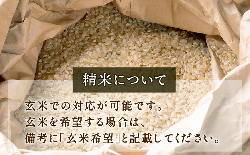 新米 特別栽培米 米 定期便 4回 計 20kg コシヒカリ 5kg × 4 高秋農園 先行予約 令和7年度産 特別栽培 玄米 ごはん ご飯 お弁当 おにぎり ブランド米 ふっくら ツヤツヤ 甘い 三間米 こめ 粘り 国産 愛媛 宇和島 G048-149004