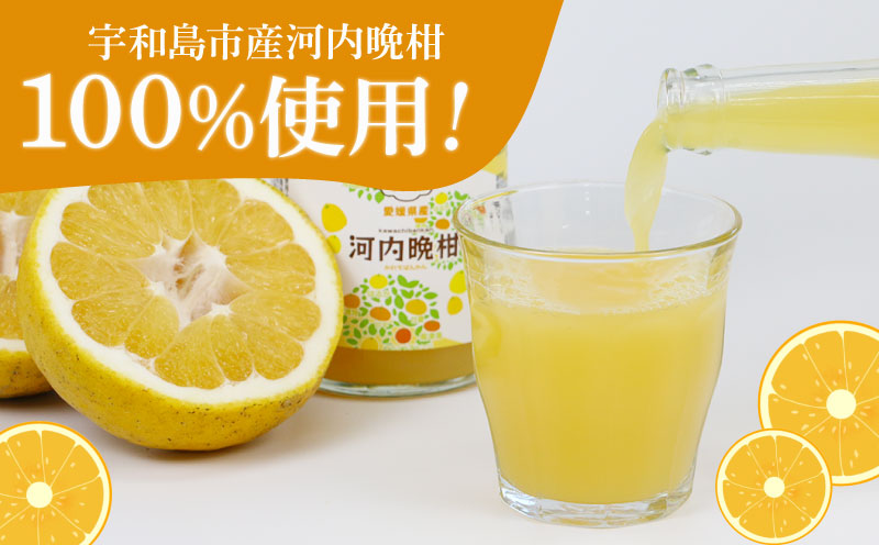 果汁100% 河内晩柑 ストレートジュース 720ml 3本 矢野青果 100％ みかん ジュース みかんジュース かわちばんかん 晩柑 果汁 飲料 飲み物 果物 くだもの フルーツ さっぱり 蜜柑 mikan ギフト 産地直送 数量限定 国産 愛媛 宇和島 H010-171015