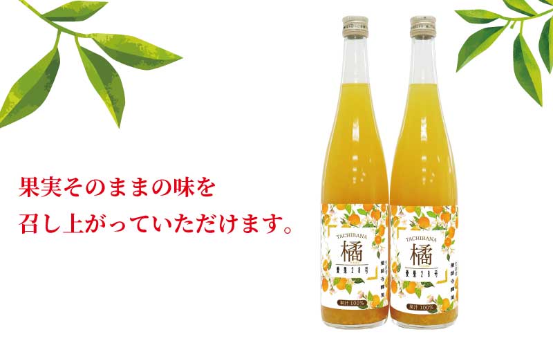 愛果28号 ジュース 720ml × 2本 セット 元気や みかん フルーツジュース ストレートジュース ストレート 蜜柑 mikan 100％ジュース 果汁 100％ 飲料 柑橘 果物 フルーツ くだもの みかんジュース 産地直送 数量限定 国産 愛媛 宇和島 H010-176008