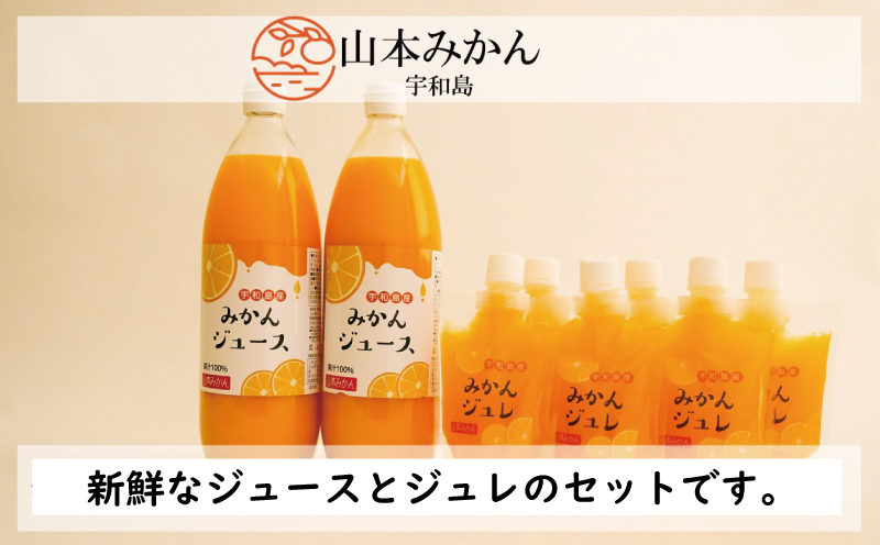 みかんジュース ジュレ 詰合せ 山本みかん 先行予約 ゼリー 果物 くだもの 蜜柑 mikan 産直 H012-038006