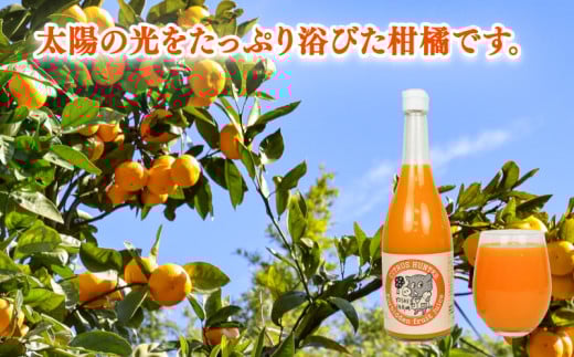 ストレートジュース まろやか 柑橘 の 飲み比べ 720ml ×5本 ヨシファーム 先行予約 みかん ジュース ストレート みかんジュース フルーツジュース 蜜柑 mikan 100％ジュース 果汁 100％ 飲料 柑橘 果物 フルーツ 農家直送 産地直送 数量限定 国産 愛媛 宇和島 H014-067002