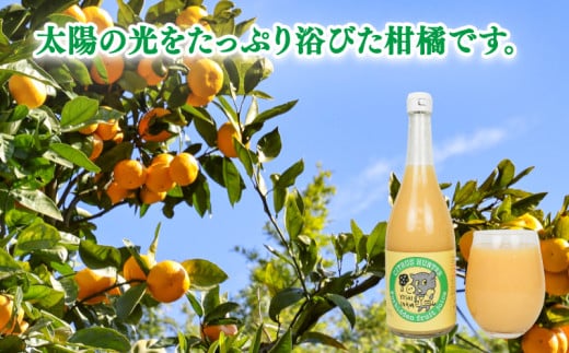 フルーツジュース さっぱり 柑橘 の 飲み比べ 720ml ×5本 ヨシファーム 先行予約 みかん ジュース ストレート みかんジュース フルーツジュース 蜜柑 mikan 100％ジュース 果汁 100％ 飲料 柑橘 果物 フルーツ 農家直送 産地直送 数量限定 国産 愛媛 宇和島 H014-067003