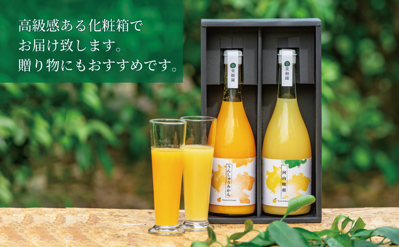 愛媛 の 柑橘 ジュース 720ml 2本 セット 壱果樹園 先行予約 みかん 河内晩柑 温州 ストレートジュース 100% 果汁 飲料 オレンジジュース 国産 愛媛 宇和島 H015-141002