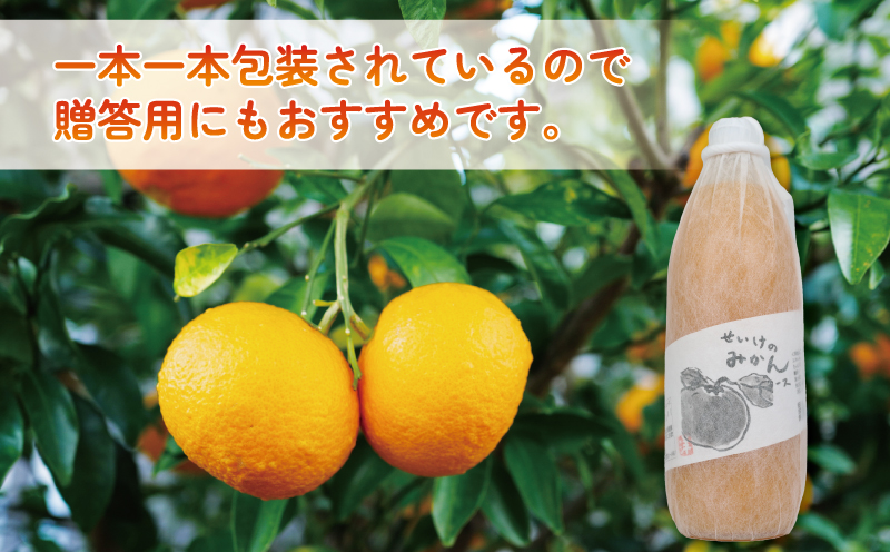みかんジュース 1,000ml×3本 清家 100％ジュース ストレートジュース ストレート 柑橘 みかん 温州みかん ジュース mikan ミカン 爽やか 愛媛ミカン 甘い 温州 愛媛みかん 愛媛県産 果汁 飲料 果物 くだもの フルーツ 国産 愛媛 宇和島 H018-170001