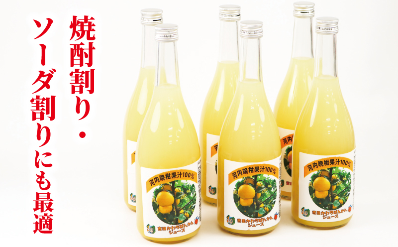 河内晩柑 ストレートジュース 720ml × 6本 陽だまりミカン みかんジュース みかん 蜜柑 mikan フルーツ ジュース 果汁 100% 焼酎割り ソーダ割り 家呑み 飲料 果物 くだもの 国産 愛媛 宇和島 H024-050009