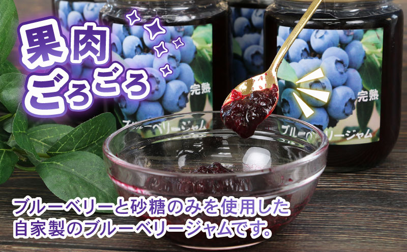 ブルーベリー ジャム 自家製 250g ×4個 計1kg 夢萬開 ブルーベリージャム berry 手作り 瓶 果物 くだもの フルーツ デザート ポリフェノール パン 朝食 ヨーグルト アイス お菓子 おすすめ アレンジ 農家直送 産地直送 数量限定 国産 愛媛 宇和島 J015-105002
