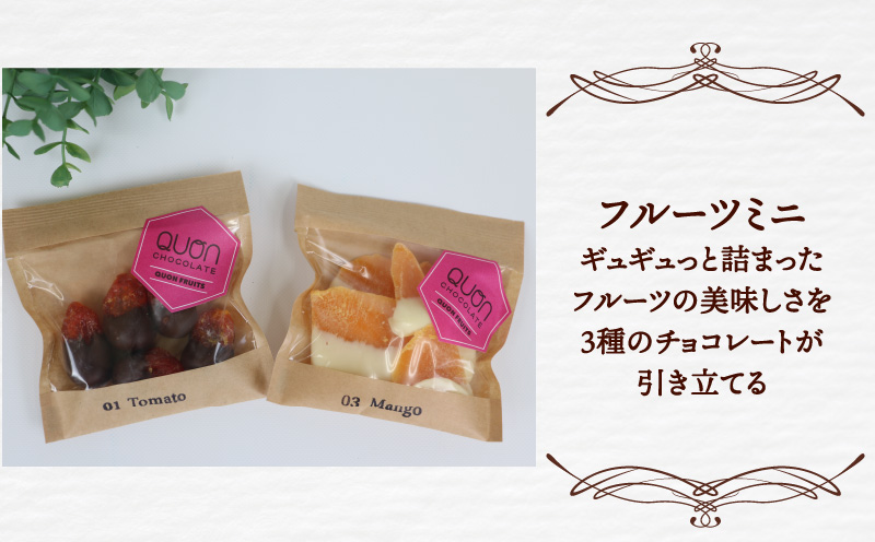 チョコ セット 久遠チョコレート いろどりBOX テリーヌ ロッシェ おまかせ チョコ チョコレート フルーツ 焼き菓子 洋菓子 菓子 お菓子 スイーツ 甘い ギフト プレゼント 愛媛 宇和島 J020-167003