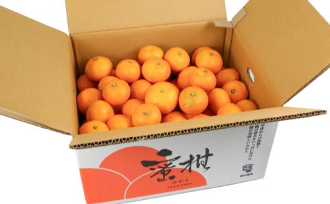 愛媛みかん 早生みかん 宮川早生 9kg 家庭用 植村農園 先行予約 温州蜜柑 温州みかん mikan 愛媛ミカン 愛媛蜜柑 愛媛みかん 温州 早生温州 早生 蜜柑 果物 くだもの フルーツ 柑橘 農家直送 産地直送 数量限定 国産 愛媛 愛媛産 宇和島 B010-153003