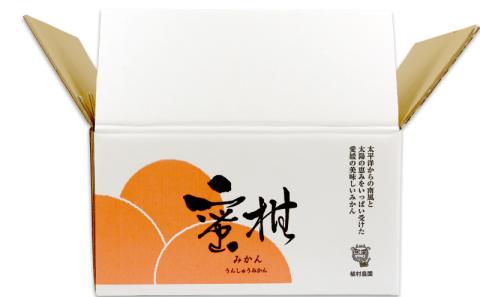 愛媛みかん 極早生みかん 9kg 家庭用 植村農園 先行予約 極早生 温州みかん 温州 mikan 愛媛ミカン 愛媛蜜柑 愛媛みかん 蜜柑 さっぱり 爽やか 果物 くだもの フルーツ 柑橘 農家直送 産地直送 数量限定 国産 愛媛 愛媛産 宇和島 B010-153001