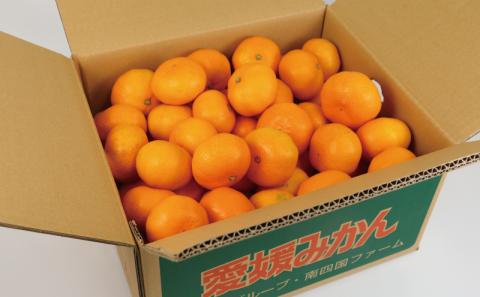 愛媛 みかん 早生温州 家庭用 7kg 大小混合 南四国ファーム B010-035001