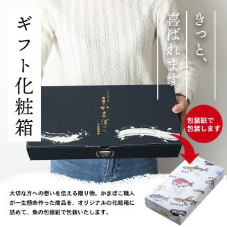 【郷土料理】  練り物 セット じゃこ天 かまぼこ 詰め合わせ B 4種 安岡蒲鉾店 蒲鉾 おつまみ C018-020002