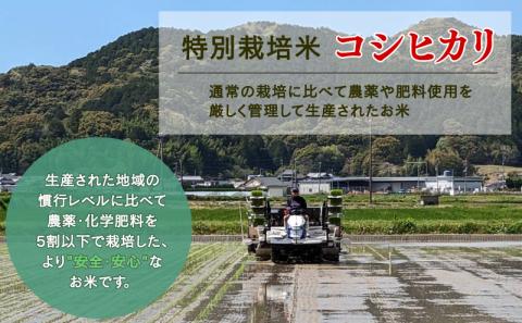 新米 特別栽培米 米 定期便 4回 計 20kg コシヒカリ 5kg × 4 高秋農園 先行予約 令和7年度産 特別栽培 玄米 ごはん ご飯 お弁当 おにぎり ブランド米 ふっくら ツヤツヤ 甘い 三間米 こめ 粘り 国産 愛媛 宇和島 G048-149004