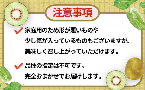 レッドキウイ 2kg 家庭用 マル南フルーツ 数量限定 キウイ キウイフルーツ 紅妃 レインボーレッド 産地直送 高級 希少 果物 フルーツ 国産  愛媛 宇和島 F010-106029: 宇和島市ANAのふるさと納税