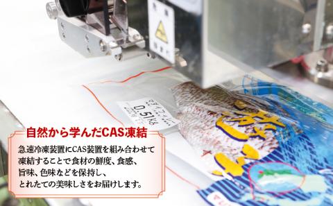 【愛媛県宇和島市産】真鯛 セット 計 1.5kg 愛媛県漁業協同組合遊子支所 マダイ たい tai 魚 刺身 D012-022004