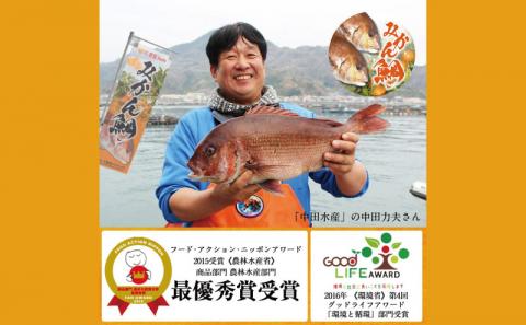 【数量限定】 みかん 真鯛 270g ~ 350g 半身 刺身 柵 2節 宇和島プロジェクト たい tai 刺身 魚 D012-071001