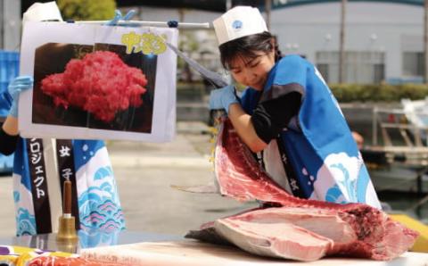 新鮮 マグロ 解体 出張 LIVE 愛媛開催限定 サバキ女子 宇和島プロジェクト 限定 マグロ解体ショー 解体ショー マグロ解体 本マグロ 黒マグロ 養殖マグロ 鮪 ショー イベント 結婚式 パーティー 愛媛 愛媛県 宇和島 L2115-071011