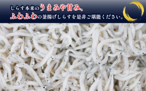 【小分けで便利！】 シラス 釜揚げしらす 100g × 10袋 計 1kg 時栄水産 冷凍 sirasu 小魚 じゃこ 干し 人気 水産 加工品 かまあげ D010-174001