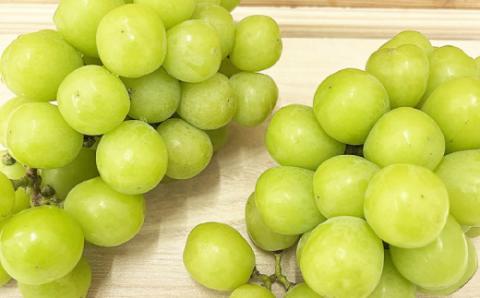 訳あり シャインマスカット 1kg ( 2～3房 ) マル南フルーツ 数量限定 大粒 種無し 甘い マスカット ぶどう 果物 フルーツ 国産 愛媛 宇和島 F012-106028