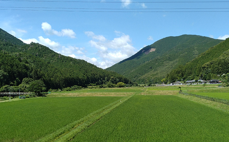 新米 先行予約 精米 清流 れんげ米 にこまる 10kg かわたのお米屋さん 11月以降発送 米 kome おこめ 白米 ごはん お弁当 おにぎり ブランド米 ふっくら ツヤツヤ 甘い 粘り 美味しい ライス 農家直送 産地直送 数量限定 国産 愛媛 宇和島 G020-134003
