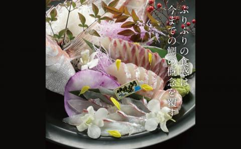 タイ 真鯛 伊達真鯛 550g ~ 700g 1尾 刺身 柵 4節 宇和島プロジェクト 鯛 マダイ お刺身 お刺し身 刺し身 真空パック フィーレ お手軽 海鮮丼 海鮮 鯛めし 鯛茶漬け お茶漬け 鯛しゃぶ 塩焼き 煮付け 魚 産地直送 愛媛県産 国産 愛媛 宇和島 D022-071005