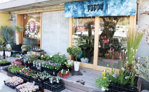 アレンジメント ブーケ 生花 アレンジメントブーケ Flowershop Poppy 花 ブーケ 花束 生花 切花 切り花 フラワー Flower 雑貨 インテリア 誕生日 記念日 プレゼント 贈り物 フラワーライフ 自宅用 アレンジメント 国産 愛媛 宇和島 K012-125001