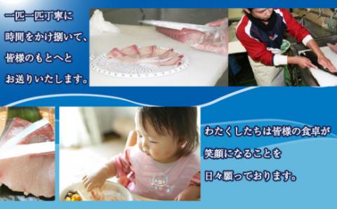 【冷凍】鰤しゃぶ ブリ 戸島ぶり しゃぶしゃぶ セット 450g 3人前 有限会社 アクアプラス ブランド魚 buri D022-090001