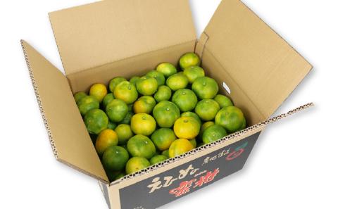 【先行予約】愛媛みかん 極早生 家庭用 家庭用 10kg 先行予約 ワールドファーマーズ 蜜柑 mikan 甘い 美味しい 農家直送 産地直送 数量限定 国産 宇和島 B010-024015