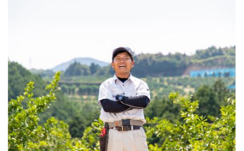 みかん ゼリー 温州みかん ジュレ 10個 本気の みかんゼリー 山本みかん 先行予約 南柑20号 温州 愛媛みかん 愛媛蜜柑 愛媛ミカン mikan 南夏ギフト フルーツゼリー デザート スイーツ 果物 くだもの フルーツ 農家直送 産地直送 数量限定 国産 愛媛 宇和島 J012-038007