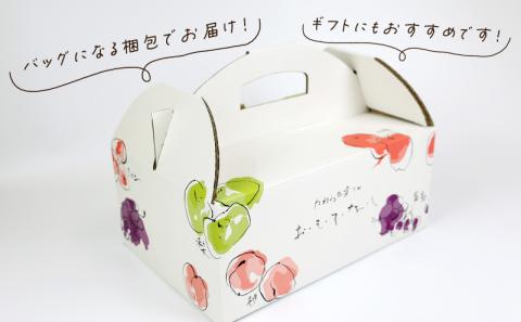 数量限定 大粒 種無し シャインマスカット 1.2kg 2房 若宮農園 甘い マスカット ぶどう 葡萄 産地直送 農家直送 高級 人気 果物 フルーツ 国産 愛媛 宇和島 F016-152001