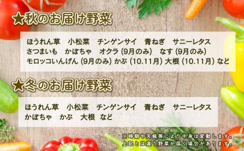 季節のおまかせ 野菜 セット はまだ農園 やさい 野菜セット 美味しい 新鮮 小分け 季節 お任せ 食べ比べ 旬野菜 旬 詰め合わせ 季節限定 季節野菜 フレッシュ yasai 農家直送 産地直送 数量限定 国産 愛媛 宇和島 F010-139001