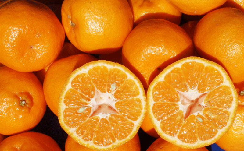 ぽんかん 5kg ワールドファーマーズ 先行予約 ポンカン みかん mikan 愛媛ミカン 愛媛蜜柑 愛媛みかん 果物 くだもの フルーツ 柑橘 甘い ジューシー 果肉 みかん 蜜柑 数量限定 産地直送 農家直送 国産 愛媛 宇和島 B010-024031