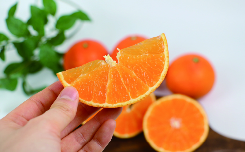 愛果28号 2.5kg 家庭用 つばさ農園 B010-048010