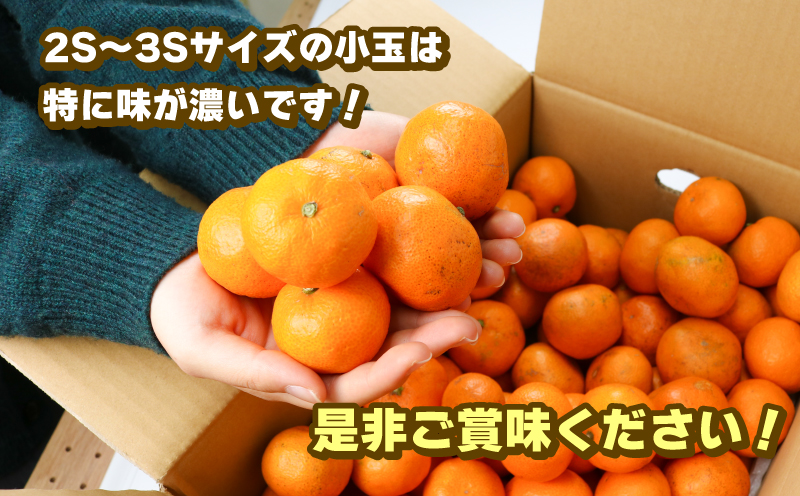 蜜柑 訳あり 小玉 温州みかん 南柑20号 10kg 玉津柑橘倶楽部 温州 みかん 小玉みかん 中生 甘い 果物 くだもの フルーツ 柑橘 mikan 愛媛蜜柑 愛媛みかん 愛媛ミカン ミカン わけあり サイズ 不揃い 産地直送 数量限定 国産 愛媛 宇和島 B010-072031