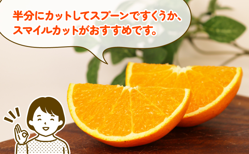 【訳あり】 清見 みかん 8kg 玉津柑橘倶楽部 愛媛 果物 フルーツ タンゴール mikan B010-072033