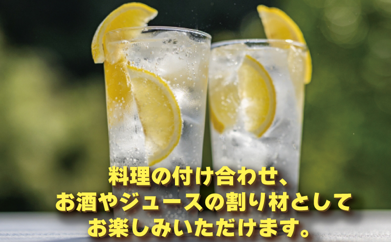 訳あり レモン 約5kg 玉津柑橘倶楽部 先行予約 サイズ 不揃い 訳アリ れもん 檸檬 remon 酸味 爽やか 果実 サワー ジュース チューハイ 果物 くだもの フルーツ 柑橘 愛媛蜜柑 愛媛みかん わけあり 訳あり品 産地直送 数量限定 国産 愛媛 宇和島 B010-072045