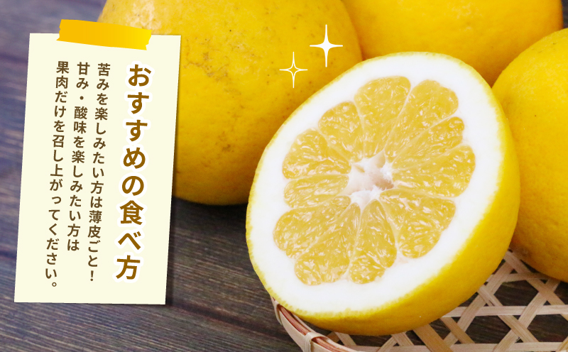 河内晩柑 8kg ハマみかん 先行予約 家庭用 蜜柑 mikan グレープフルーツ 果物 くだもの 産地直送 農家直送 数量限定 国産 愛媛 宇和島 B010-075010