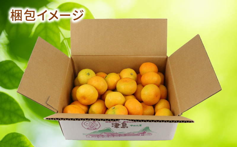 訳あり 温室みかん 7月～8月上旬発送 ハマみかん 温州みかん 温室蜜柑 ハウス栽培 ハウスみかん 訳アリ 訳あり品 ふるさと納税訳あり 興津 早生 ハウス みかん mikan 果物 フルーツ 柑橘 蜜柑 愛媛ミカン 愛媛蜜柑 愛媛みかん 農家直送 産地直送 数量限定 国産 愛媛 宇和島 B010-075012