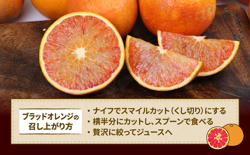 訳あり ブラッドオレンジ タロッコ 5kg サイズ 不揃い マル南フルーツ 先行予約 果物 オレンジ フルーツ 柑橘 みかん 国産 愛媛 宇和島 産地直送 農家直送 数量限定 B010-106011