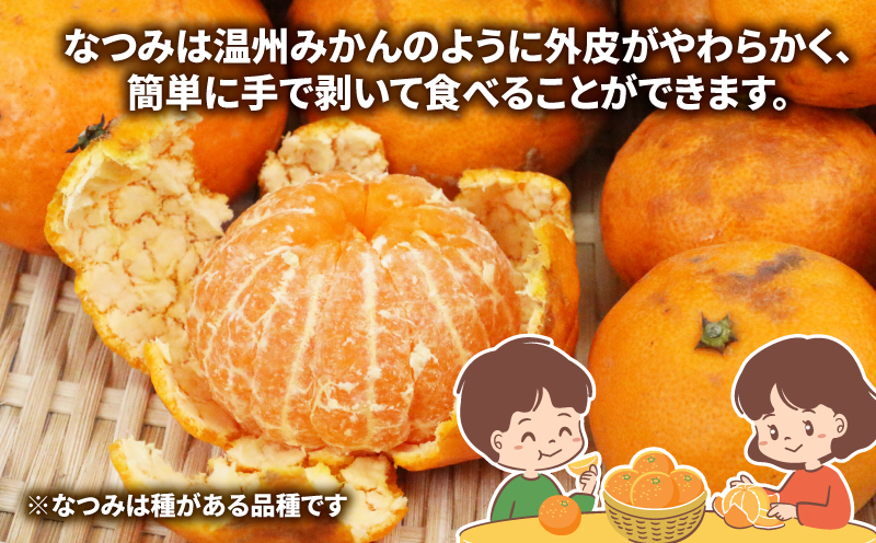 訳あり なつみ みかん 5kg 初夏のみかん マル南フルーツ 先行予約 サイズ 不揃い みかん 蜜柑 南津海 果物 くだもの フルーツ 旬 高級 ブランド 希少 柑橘 産地直送 数量限定 先行予約 国産 愛媛 宇和島 B010-106012