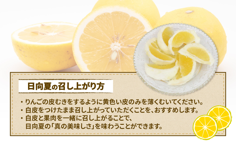 訳あり 日向夏 みかん 5kg マル南フルーツ 先行予約 不揃い サイズ混合 わけあり 果物 くだもの フルーツ 柑橘 みかん 蜜柑 数量限定 先行予約 産地直送 国産 愛媛 宇和島 B010-106013