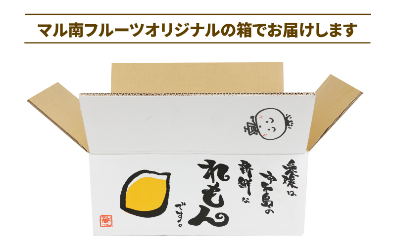国産レモン 檸檬 レモン 訳あり グリーンレモン 5kg マル南フルーツ remon 愛媛県産レモン 先行予約 わけあり れもん 檸檬 レモン果汁 酸味 高級 希少 安心 果物 くだもの ビタミン 健康 フルーツ 柑橘 産地直送 数量限定 国産 愛媛 宇和島 B010-106016