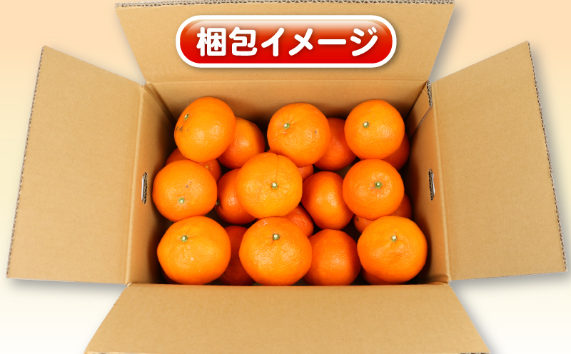 愛媛みかん 訳あり 伊予柑 5kg 杉本屋 わけあり 先行予約 予約受付 いよかん イヨカン 蜜柑 mikan 愛媛みかん 愛媛蜜柑 愛媛ミカン 柑橘 果物 くだもの 愛媛県産 ミカン 宇和島みかん フルーツ 数量限定 産地直送 数量限定 国産 愛媛 宇和島 B010-143006